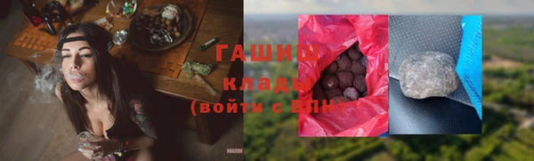 прущие грибы Алзамай