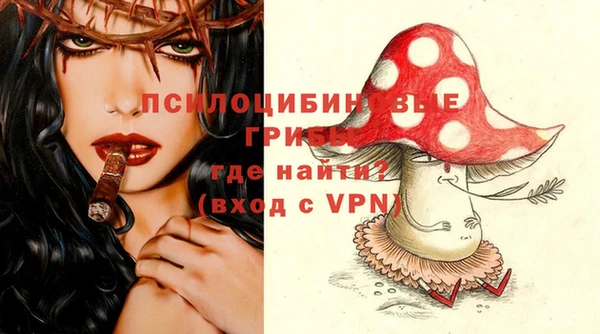 прущие грибы Алзамай