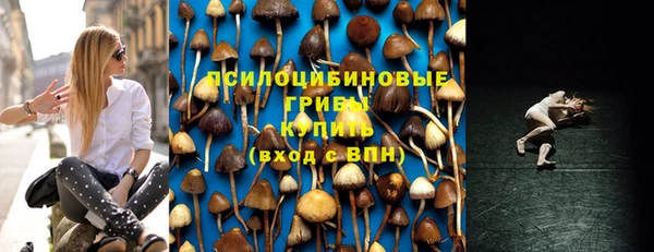 дурь Алексеевка
