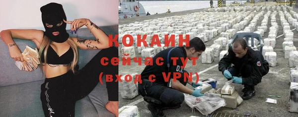 прущие грибы Алзамай
