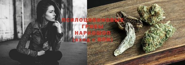 дурь Алексеевка
