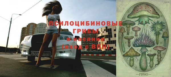 дурь Алексеевка