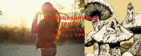 твердый Алексин