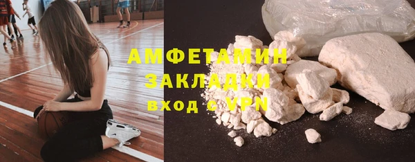 прущие грибы Алзамай