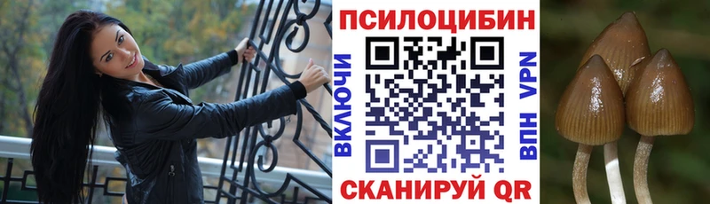 Галлюциногенные грибы Cubensis  дарнет шоп  Нижний Тагил 